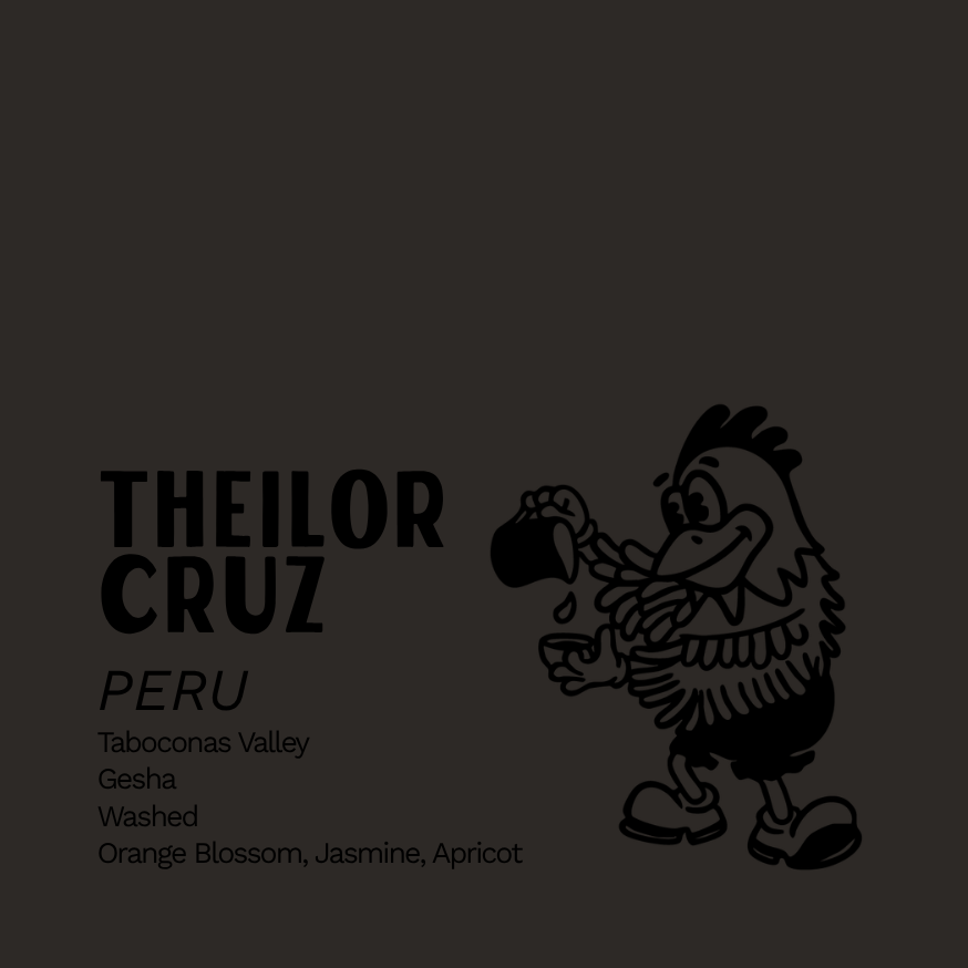 Theilor Cruz Gesha