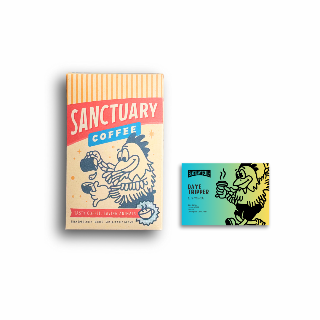Single Origin Subscription