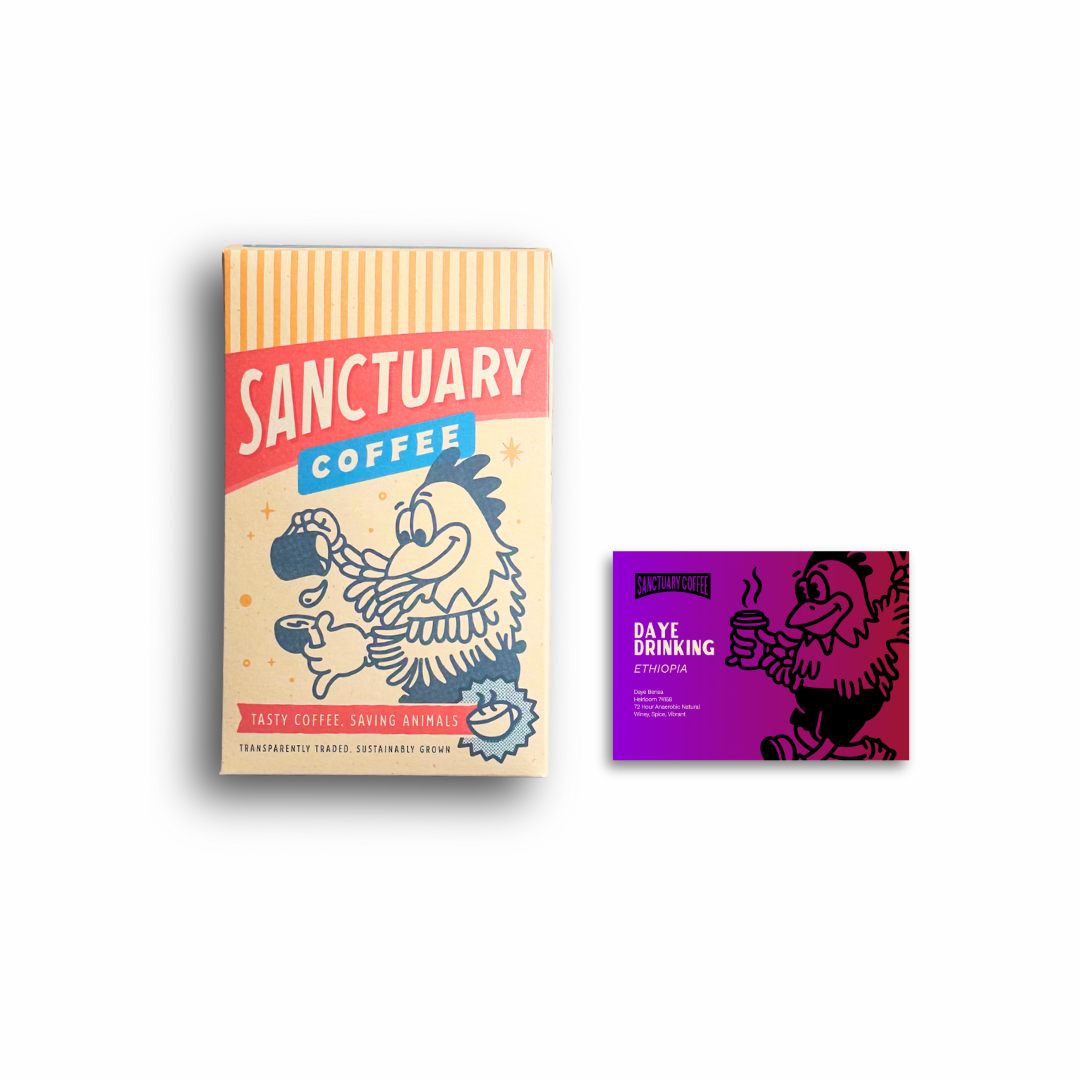 Single Origin Subscription