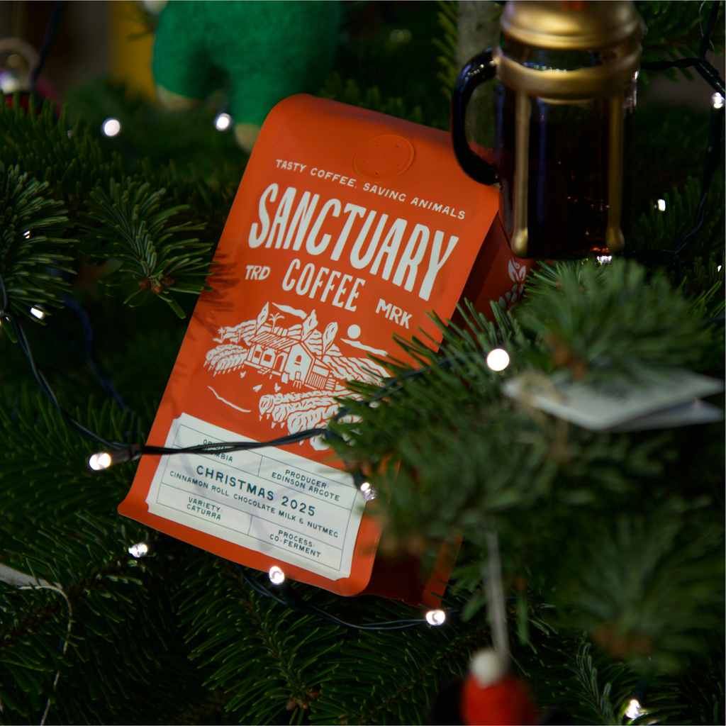 Christmas 2025, Colombia