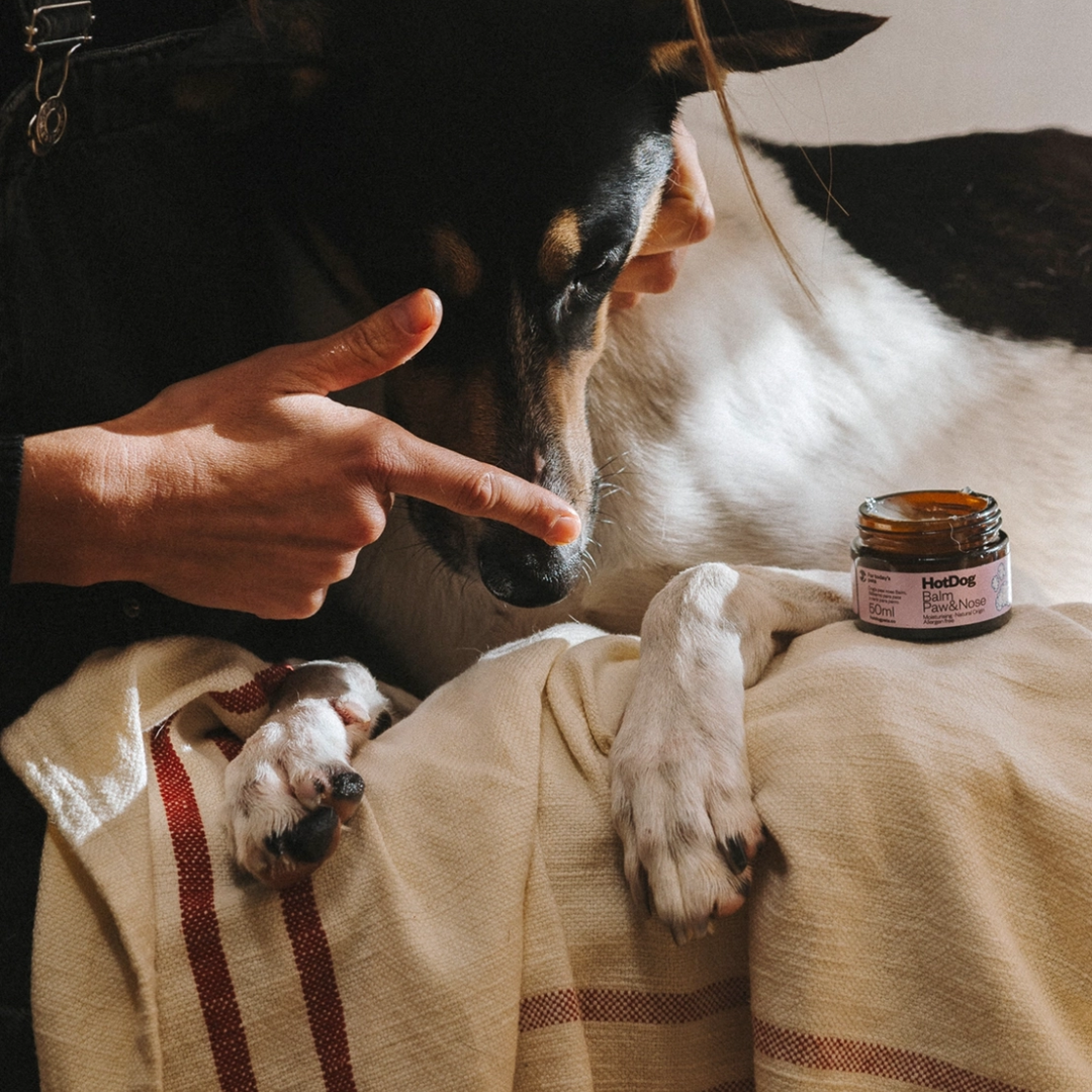 Paw & Nose Balm