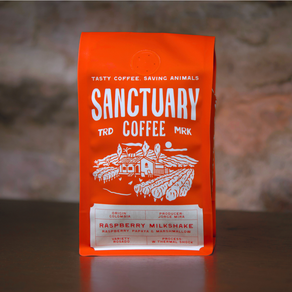 Raspberry Milkshake, Colombia