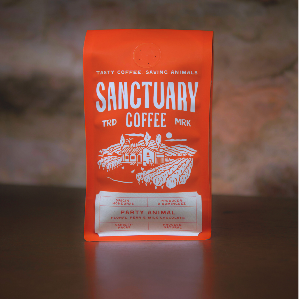 Party Animal, Honduras