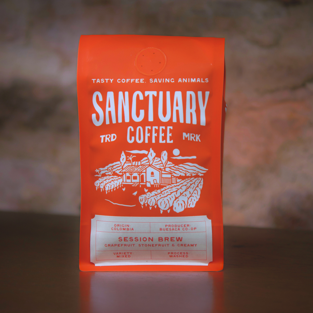 Session Brew, Colombia