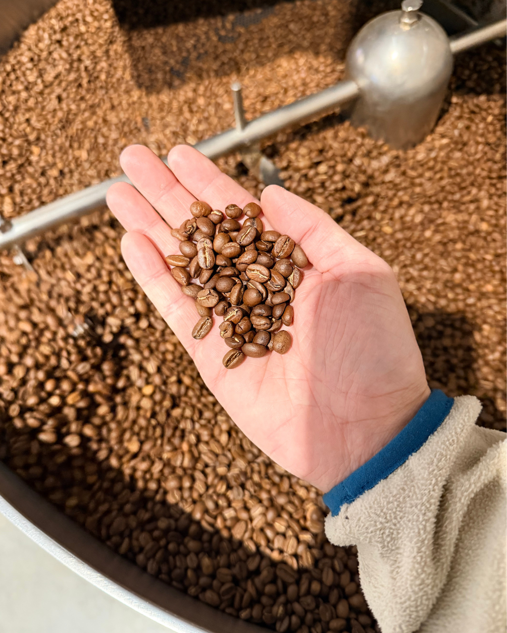 Strawberry Roan, China