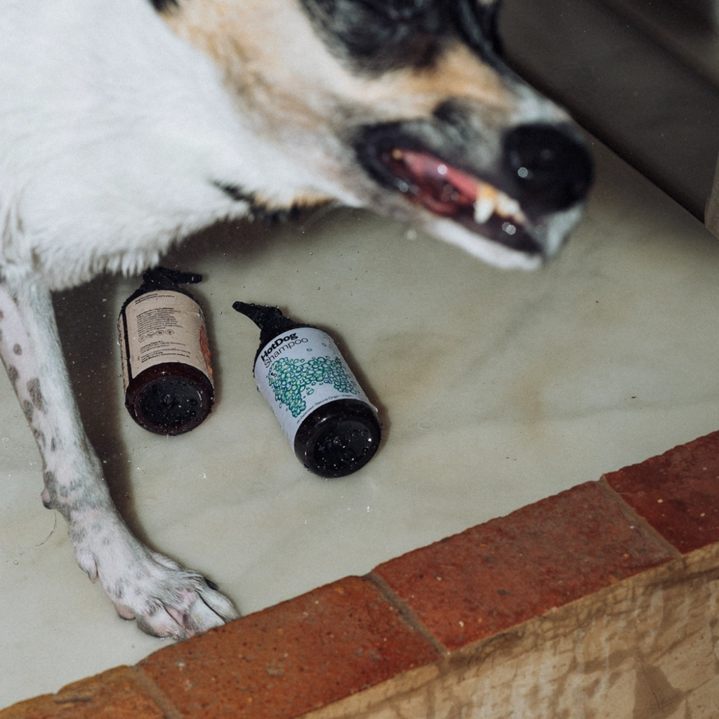 Dog Conditioner