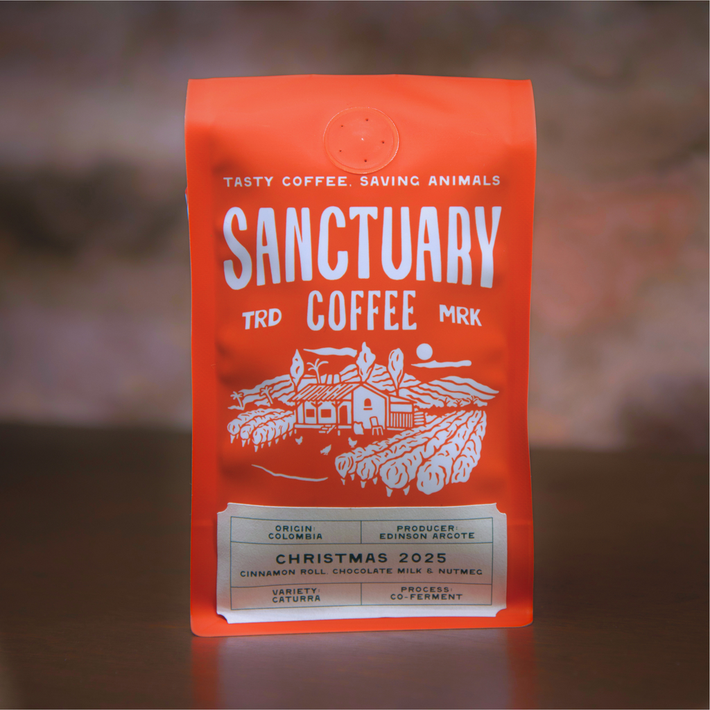 Christmas 2025, Colombia