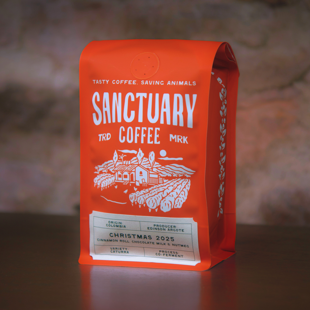 Christmas 2025, Colombia