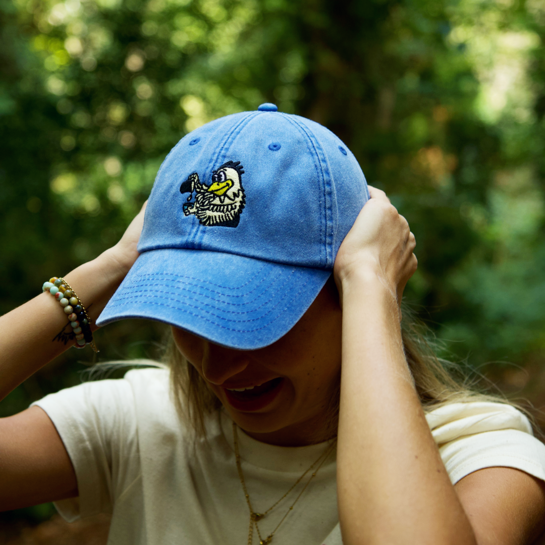 Sanctuary Dad Cap