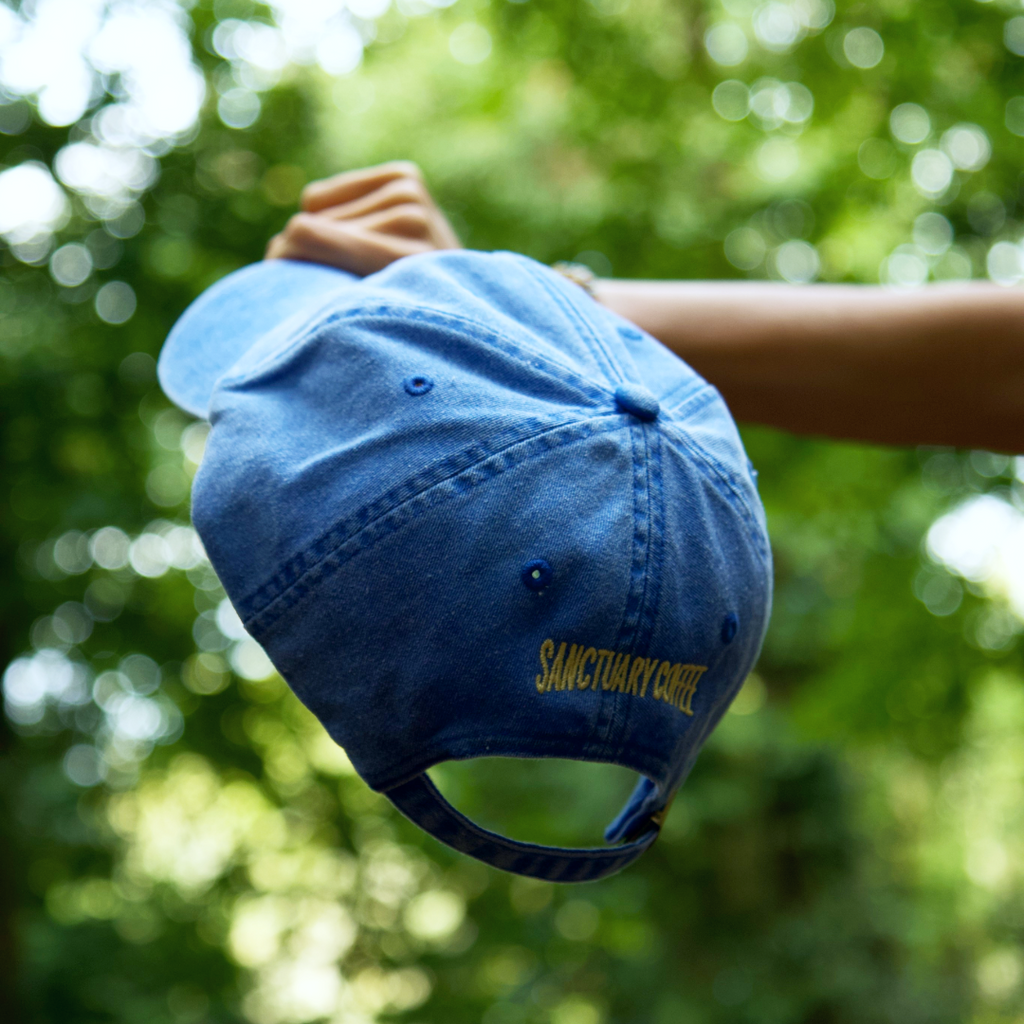 Sanctuary Dad Cap