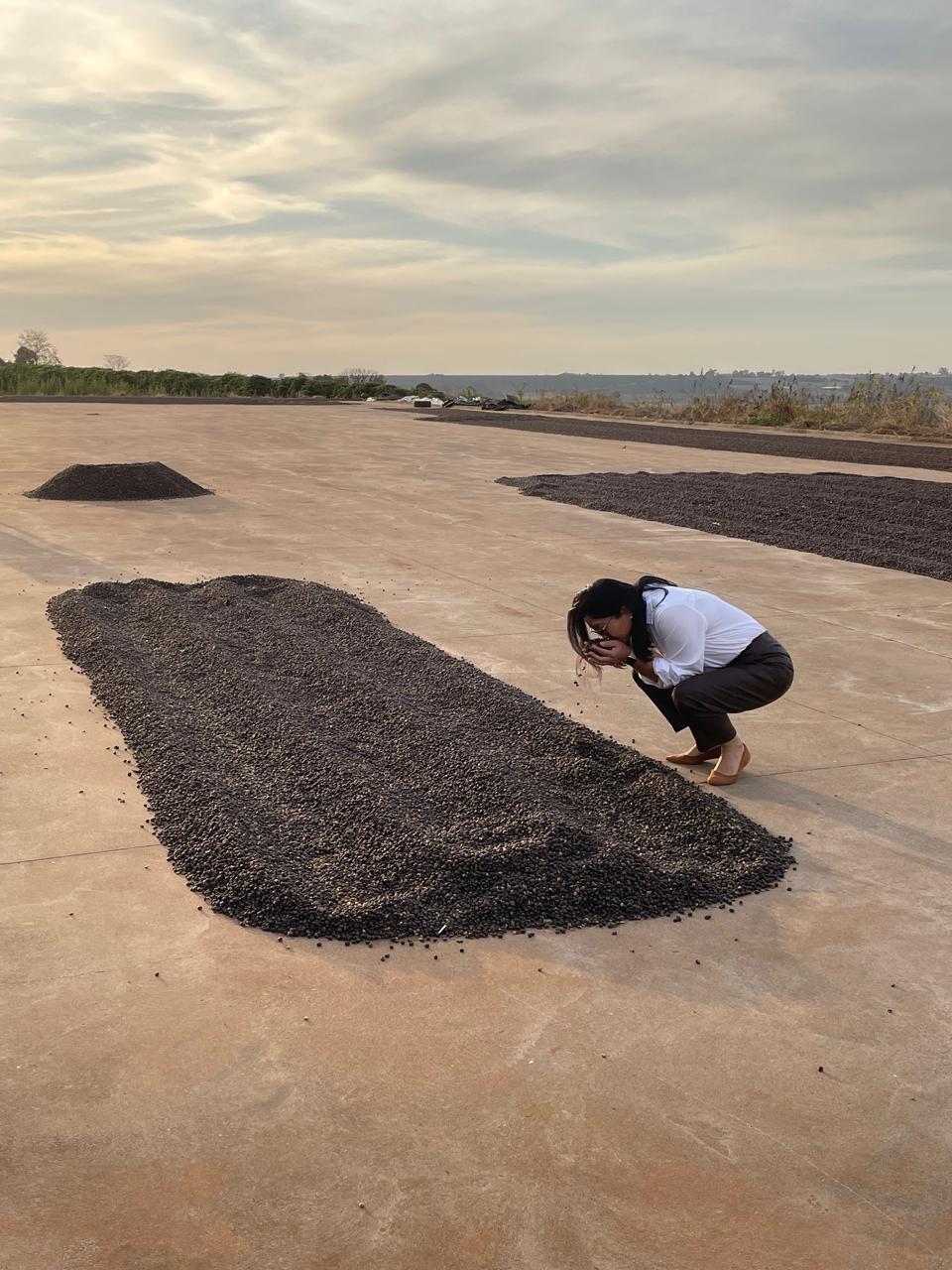 Mango Milk Gesha, Brazil